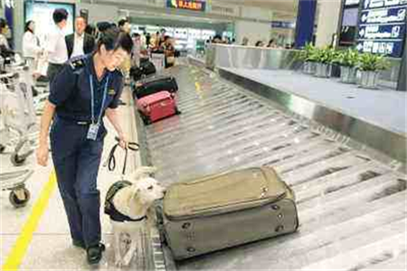 郑州机场托运行李消毒